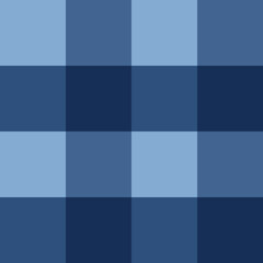Blue Gingham Pattern_For Textile and Home