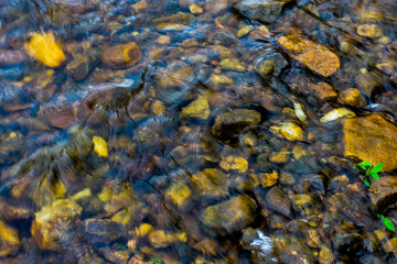 Clear stream water reveals colorful rocks and pebbles on the riverbed, creating a vibrant pattern.