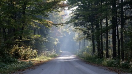 Obraz premium A forked road through autumn woods, misty and serene, symbolizing life's crossroads