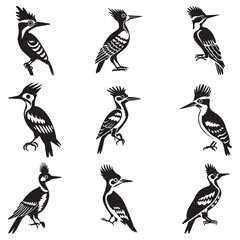 black silhouette of a woodpecker
