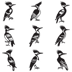 black silhouette of a woodpecker
