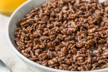 Sweet Dark Chocolate Breakfast Cereal