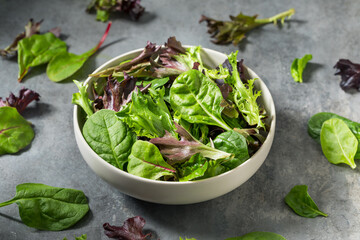 Organic Raw Green Spring Lettuce Mix
