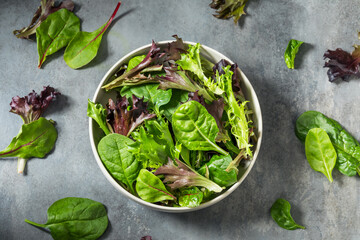 Organic Raw Green Spring Lettuce Mix