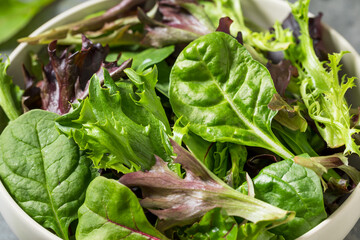 Organic Raw Green Spring Lettuce Mix
