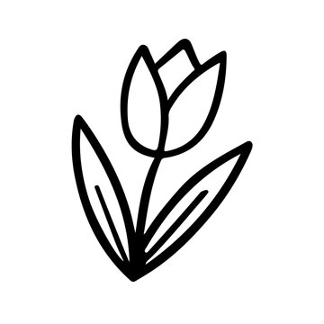 Minimalist tulip line art vector illustration perfect for floral design, spring themes, and botanical projects. Ideal for prints, patterns, and digital decor.
