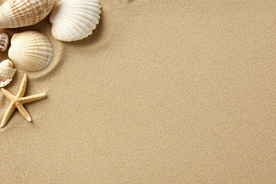 Beach-themed flat lay with seashells and starfish on sand background
