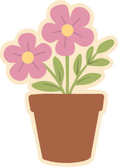 Potted Flowers