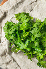 Organic Raw Green Cilantro Herbs