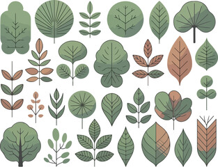 tree design illustrator, leaf