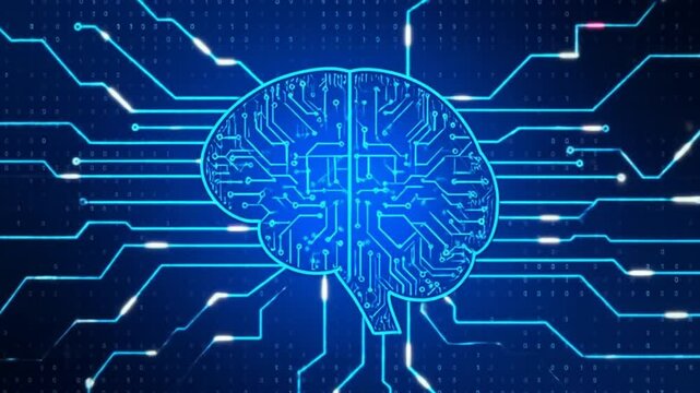Circuitry Brain