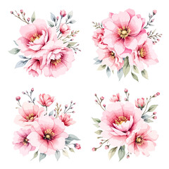 peony flower set watercolor vector illustration