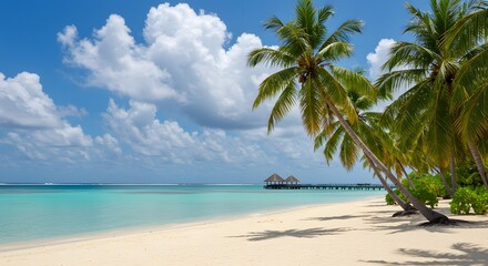 Secluded beach with crystal clear sea and palm trees