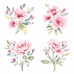 Watercolor flowers hand drawn floral illustration set on white background © Watercol