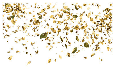Dried oregano leaves isolated, flying on white background, vector illustration, oregano herb, organic spices, fresh herb leaves, culinary ingredient, dried oregano, food garnish.