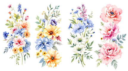 Watercolor flowers hand drawn floral illustration set on white background