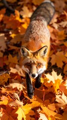Naklejka premium Fox in Autumn Forest