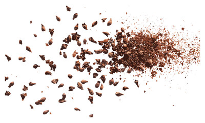 Flying dry chopped cloves, isolated Syzygium aromaticum, vector illustration, aromatic herb, spice drawing, clove flavor, herbal remedies, culinary plants.