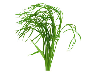 Fresh green grass isolated on white background, texture, vector illustration, nature, grass texture, environmental design, eco-friendly, green grass, isolated grass, clipping path.