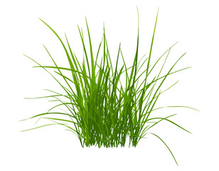 Lush green grass isolated on white, texture, vector illustration, grass texture, nature background, outdoor lawn, spring greenery, plant texture, vibrant natural element.