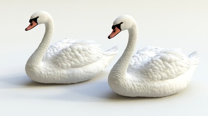 Fototapeta premium Two swans, studio, elegant, serene, display, decorative, beautiful