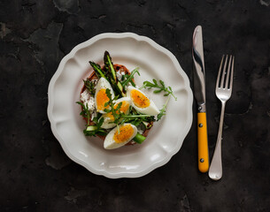 Sandwich with cottage cheese, grilled asparagus, boiled egg - delicious breakfast, snack, tapas on a dark background, top view