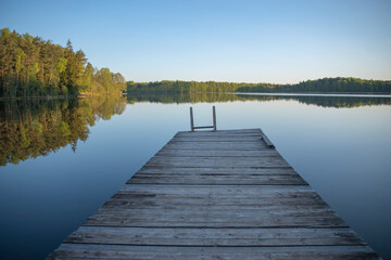 Naklejka premium forest and pier by the lake
