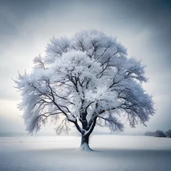 Samtvorhänge Winter Snow Covered Tree Branches Detailed Organi © Ebrahim