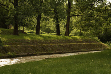 path in the park