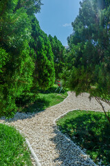 Garden landscape design with pathway in garden and footpath in picturesque summer park and staircase in backyard,Paving stones on floor in park,space for text.