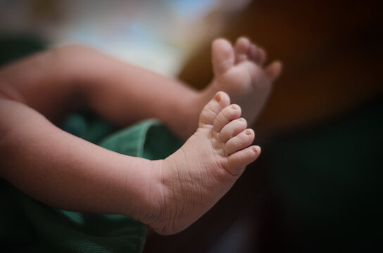 Rec&eacute;m Nascido