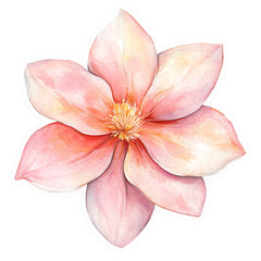Soft Blush Pink Flower in Delicate Watercolor Style