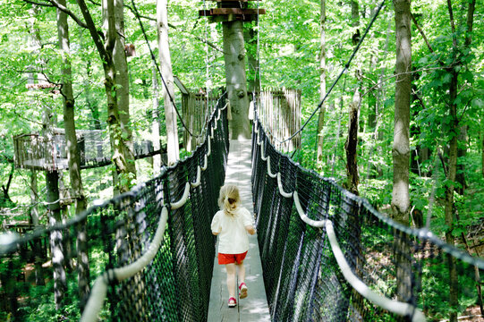 Little preschool girl walking on high tree-canopy trail with wooden walkway and ropeways on Hoherodskopf in Germany. Happy active child exploring treetop path. Funny activity for families outdoors