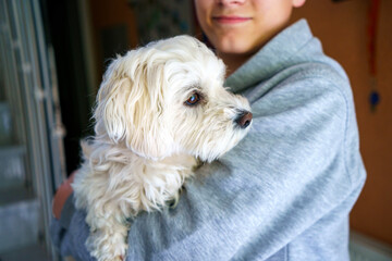 Happy teenager boy and cute maltese puppy together. Handsome child holding his dog, going for a walk. Pet love, family dog.