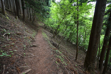 Climbing Mount Kumotori, Tokyo, Japan