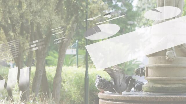 Flock of pigeons perching on fountain shaking wings splashing water taking flight preening feathers