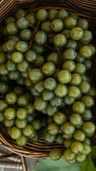 Basket of Fresh Fruit