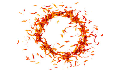 Safflower dry petals, top view, isolated on white, exotic spice circle shape, vector illustration, organic design, botanical theme, floral motifs, nature illustrations.