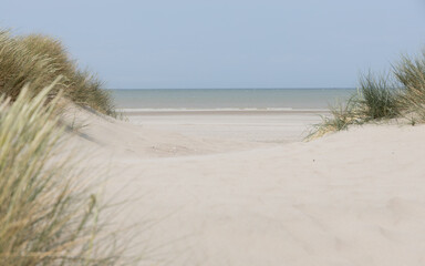 sand dunes on the beach