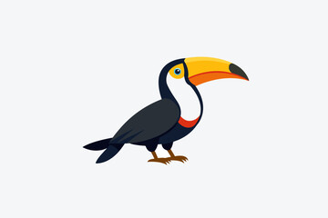 toucan on white background
