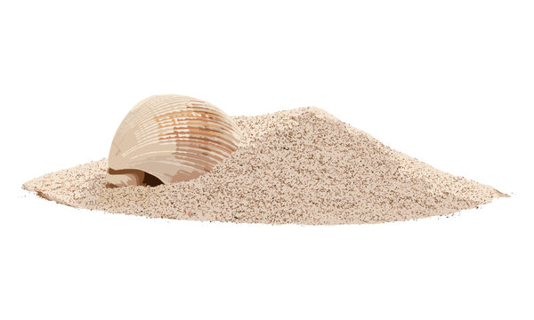 Sand pile with sea shell isolated on white, vector illustration, beach shells, coastal style, ocean, seaside, nature beauty, marine life, tropical, natural decoration.
