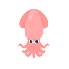 Cute beautiful squid. sea ​​animal