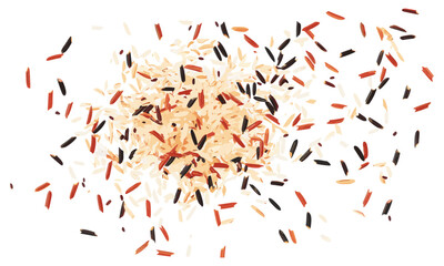 Red, brown, basmati, wild mix rice isolated on white, top view, vector illustration, gluten-free, healthy food, nutritious grains, organic rice, meal prep ingredients.