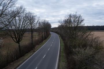 A road with trees on both sides and a few trees in the foreground