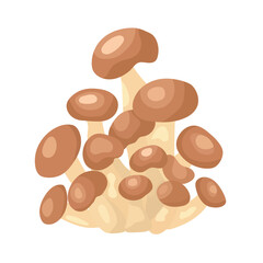 Shimeji mushrooms. Autumn, fall. Flat vector clipart, illustration with isolated background.