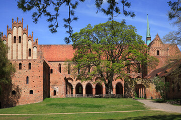 Fototapeta premium The Cistercian monastery of Chorin in the Schorfheide Biosphere Reserve, Barnim district, Brandenburg state - Germany