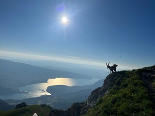 sunset la Tournette Annecy
