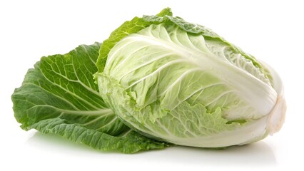 Fresh Napa Cabbage Vegetable with Green Leaves Isolated on White Background