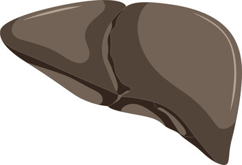 vector illustration of Cirrhosis disease.