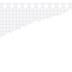 white paper background